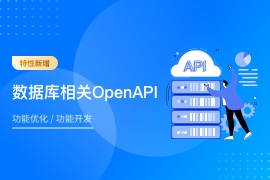 行云管家V6.5.1/2/3系列版本发布：数据库OpenAPI能力持续强化